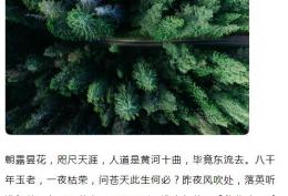 朝露昙花咫尺天涯人道是黄河十曲毕竟东流去