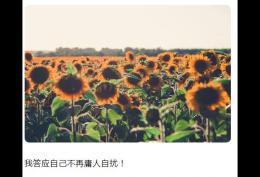 我答应自己不再庸人自扰