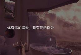 你有你的偏爱 我有我的例外