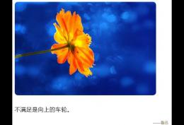 不满足是向上的车轮