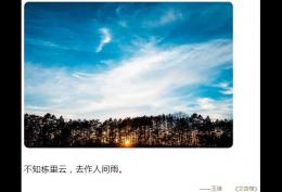 不知栋里云 去作人间雨