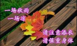 让人瞬间感到温暖的句子，句句走心，适合每个人发朋友圈