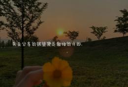失去分享的欲望便是散场的开始