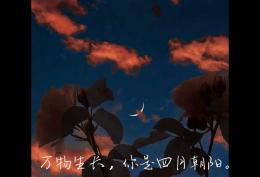 万物生长 你是四月朝阳