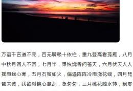万语千言道不完 百无聊赖十依栏 重九登高看孤雁