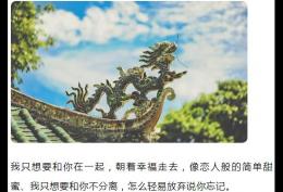 我只想要和你在一起朝着幸福走去
