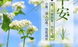 唯美早安心语简短句子  有些事，别人无法代替