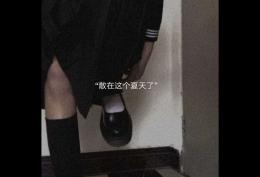 散在这个夏天了