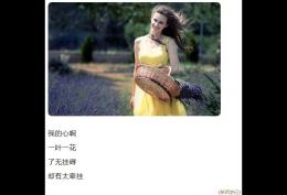 我的心啊一叶一花了无挂碍却又太牵挂