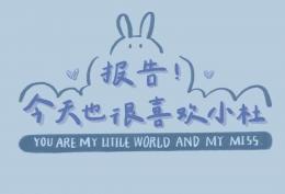 报告 今天也很喜欢小杜