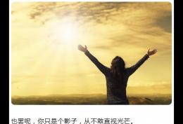 也罢呢，你只是个影子，从不敢直视光芒