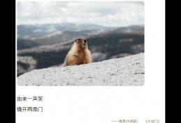 由来一声笑,情开两扇门