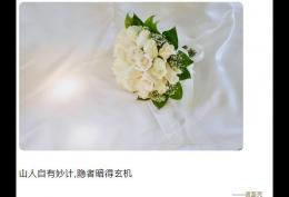 山人自有妙计隐者暗得玄机