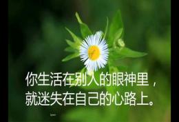 快乐是我的能量 点亮自己的光芒