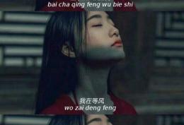 白茶清欢无别事，我在等风也等你