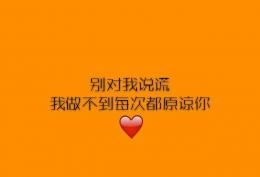 别对我说谎我做不到每次都原谅的文字背景图