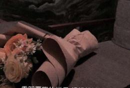 重蹈覆辙的样子想想就够了