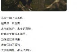  当众生踏上这条路眼前是一片迷雾太多的嫉妒太多的束缚