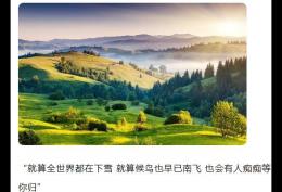 就算全世界在下雪就算候鸟已南飞