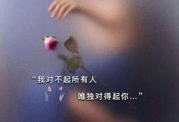 我对不起所有人唯独对得起你