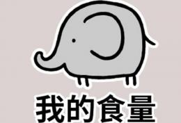 我的食量