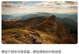 感觉不到你为我坚强 感觉得到你对我说谎