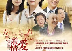 左手亲情右手爱的演员表和剧情介绍