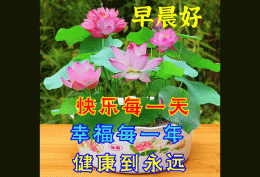 早晨好带字图片： 快乐每一天 幸福每一年 健康到永远