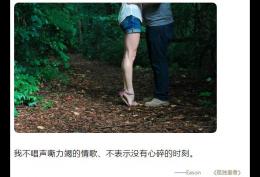 我不唱声嘶力竭的情歌 不表示没有心碎的时刻