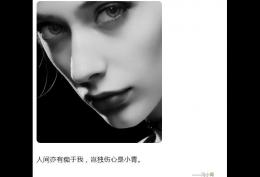 人间亦有痴于我，岂独伤心是小青