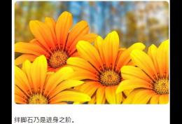 绊脚石乃是进身之阶