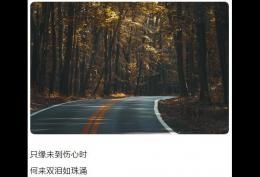 只缘未到伤心时 何来双泪如珠涌