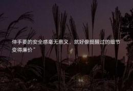 伸手要的安全感毫无意义 就好像提醒过的细节变得廉价