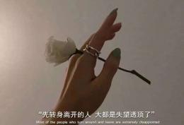 先转身离开的人 大都是失望透顶了