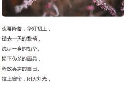 夜幕降临，华灯初上， 褪去一天的繁琐， 洗尽一身的铅华
