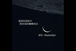 漆黑的黑夜中 照亮我的蝴蝶效应