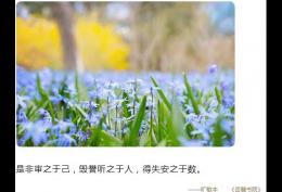 是非审之于己，毁誉听之于人，得失安之于数