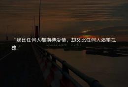我比任何人都期待爱情 却又比任何人渴望孤独