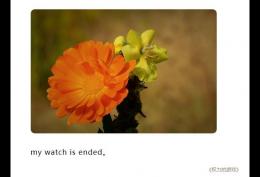 my watch is ended 我的手表　出自《权力的游戏》