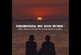 我要的是特别坚定 是有 且仅有 是万里挑一