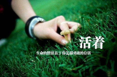 人活着不过是珍惜峥嵘岁月，领略萍水相逢