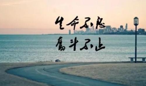 幽默风趣有哲理的故事