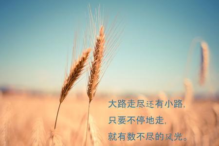 成功励志名言3