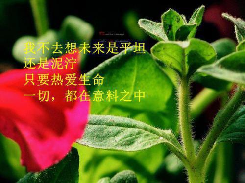 达尼尔韦勃斯脱和土拨鼠