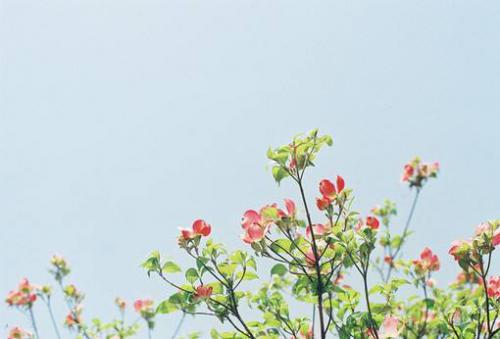给自己一个坚持的句子80句