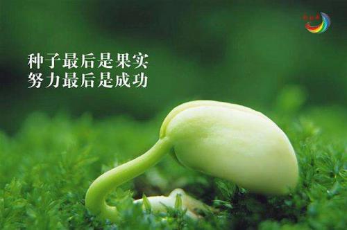 情感座右铭
