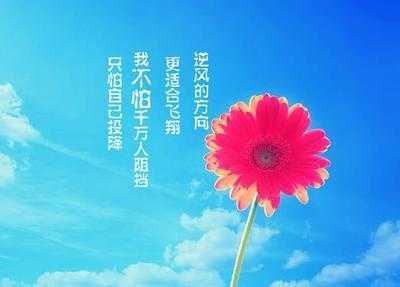 精心摘录鼓励人心的话