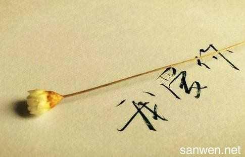 经典表白情话