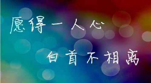 简短的告白语