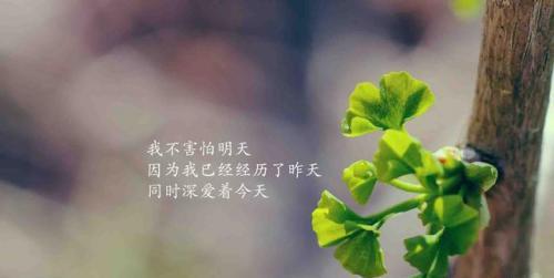 分享一些好的励志句子（配图）